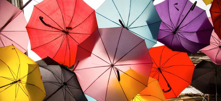 Top Umbrella Brands in India: Quality, Durability, and Style - Price Googly