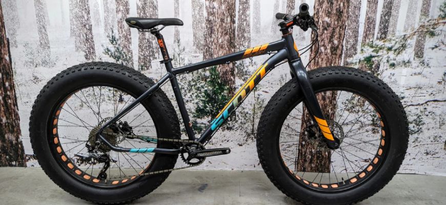 Fat bike 10000 new arrivals