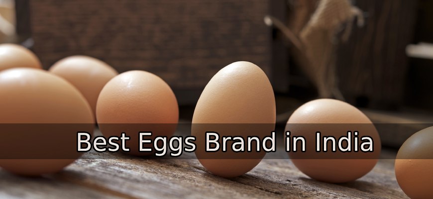 Best Egg Brands in India