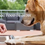 Best Dog Food in India