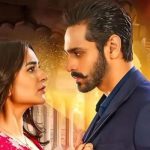 Tere Bin Pakistani Drama Show Review