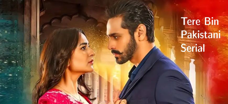 Tere Bin Pakistani Drama Show Review