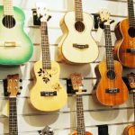 Ukulele Brands in India