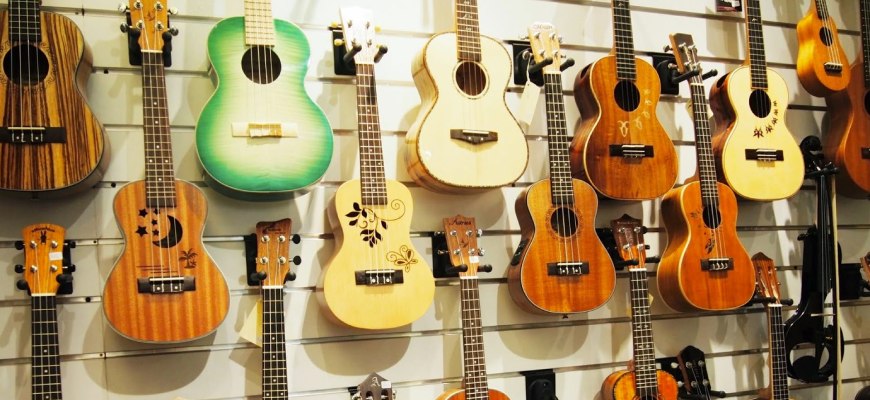 Ukulele Brands in India